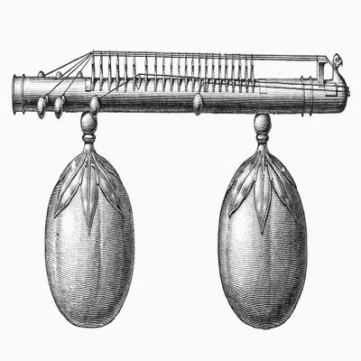 Musical Instrument Veena Na Veena (Or Vina) A Plucked Stringed Instrument Of India Line Engraving German Late 19Th Century Poster Print by (18 x 24)