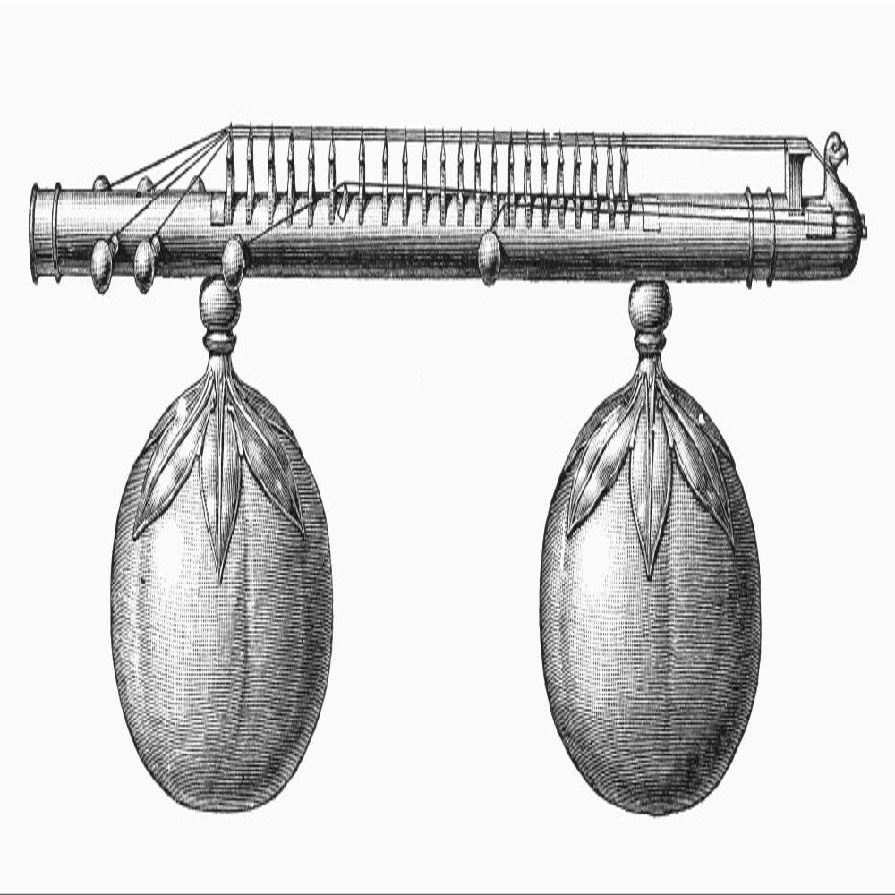 Musical Instrument Veena Na Veena (Or Vina) A Plucked Stringed Instrument Of India Line Engraving German Late 19Th Century Poster Print by (18 x 24)