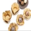 Handmade Fabric Truffle Cups | Truffle Liners | Truffle Wrappers | Fominhas | Candy cups | Forminhas de Brigadeiro | candy liners - Pack of 20 - Truffilio (Fabric, Camellia Gold) view 3