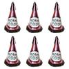 Beistle S60619AZ6 Fringed Foil Birthday Diva Party Hats, 12.5", Pink/Black/White view 1