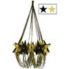 DDI 2181624 Star Chandelier - Black & Gold Case of 6 view 1