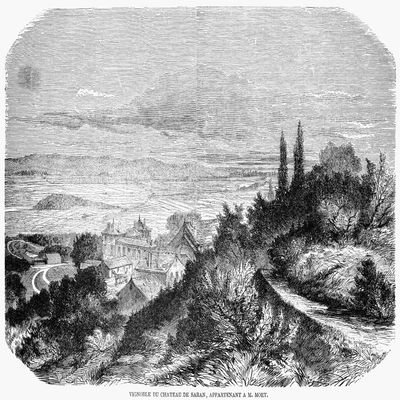 France Wine Chateau 1862 Nthe Vineyards Of Chateau De Saran Belonging To Mot Et Chandon At ?pernay France Wood Engraving French 1862 Poster Print by (18 x 24)