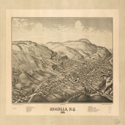 16" x 24" 1887 Map of Unadilla New York United States