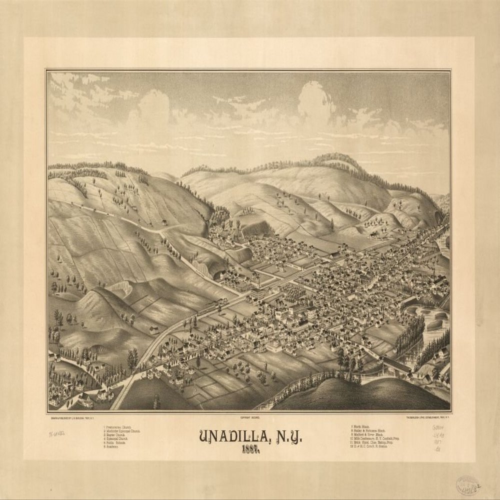 16" x 24" 1887 Map of Unadilla New York United States