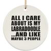 Designsify Christmas Tree Decoration, All I Care About is My Labradoodle, Circle Ornament, Gifts for Birthday Anniversary Valentines Mom Mothers Fathers Day Party, to Men Women Him Her Friend view 1