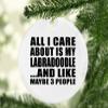 Designsify Christmas Tree Decoration, All I Care About is My Labradoodle, Circle Ornament, Gifts for Birthday Anniversary Valentines Mom Mothers Fathers Day Party, to Men Women Him Her Friend view 2