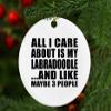 Designsify Christmas Tree Decoration, All I Care About is My Labradoodle, Circle Ornament, Gifts for Birthday Anniversary Valentines Mom Mothers Fathers Day Party, to Men Women Him Her Friend view 4