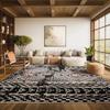 SAFAVIEH Area Rug 8x10 - Adirondack Collection - Large - Black & Light Grey, Boho Distressed Design, Non-Shedding & Easy Cleaning, Ideal for Living Room, Bedroom, Office, Dining Space (ADR202Z) view 1