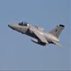 Italian Air Force AMX aircraft taking off Poster Print by Timm ZiegenthalerStocktrek Images (17 x 11) view 1