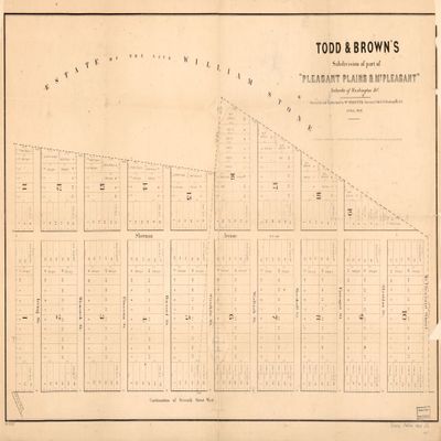 16" x 24" 1868 Map of Pleasant Plains & Mount Pleasant Washington DC Suburbs
