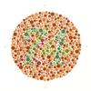 Ishihara Color Blindness Test Poster Print by Science Source (24 x 24) view 1