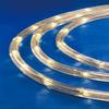 Celebrations LED Rope Light WW 9' view 3
