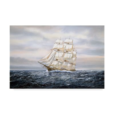 Trademark Fine Art ALI36186-C1624GG Fine Art, Multicolor
