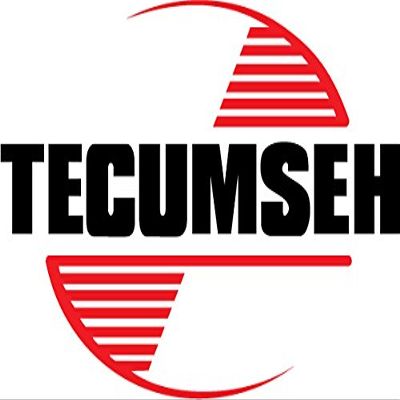 Tecumseh Oil Seal 29183 Engine Parts