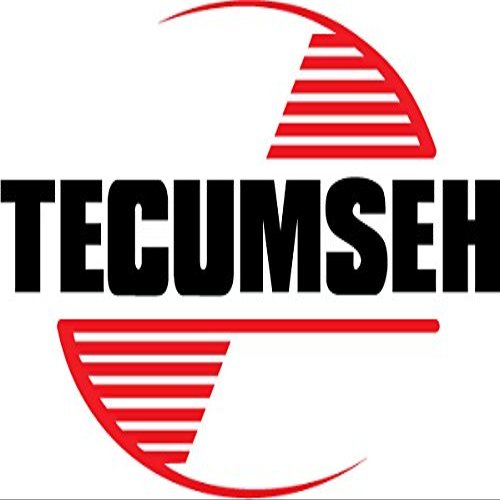 Tecumseh Oil Seal 29183 Engine Parts