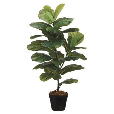 SilksAreForever 31.5" Fiddle Leaf Fig Silk Tree w/Pot -Green (Pack of 6)