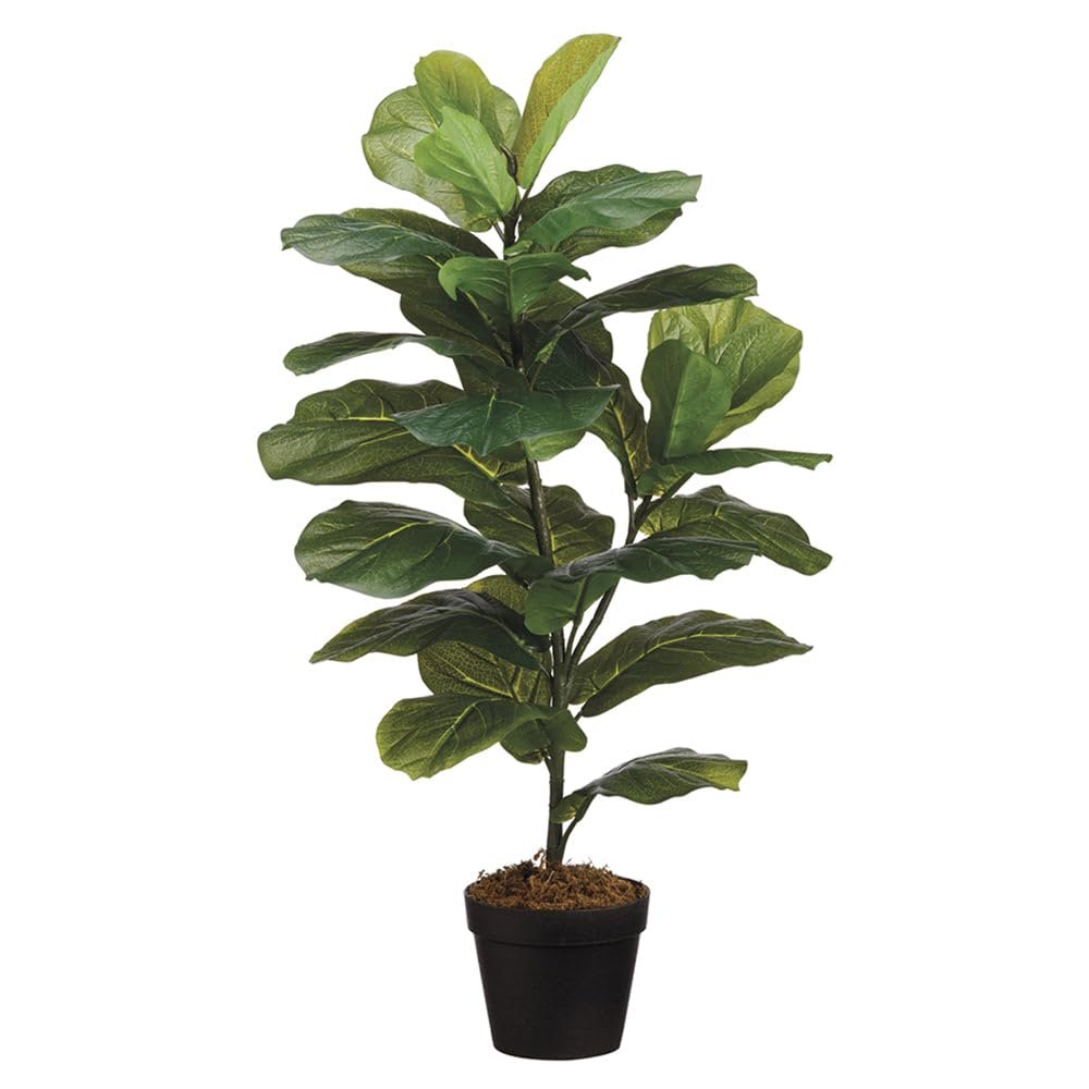 SilksAreForever 31.5" Fiddle Leaf Fig Silk Tree w/Pot -Green (Pack of 6)