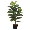 SilksAreForever 31.5" Fiddle Leaf Fig Silk Tree w/Pot -Green (Pack of 6) view 1