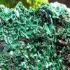 StarStuff.Rocks Authentic African Rock, Mineral, and Crystal Specimen Show (Malachite) view 3