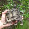 Chinese Ming Dynasty Figure of a Guan Yin on The Beast, 8 view 1