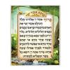 Judaica Place Asher Yatzar Laminated Card 5" x 7.5" view 1