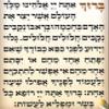 Judaica Place Asher Yatzar Laminated Card 5" x 7.5" view 3