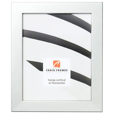 Craig Frames 26447 Bauhaus 125 Picture Frame, 11" x 14", Brushed Silver