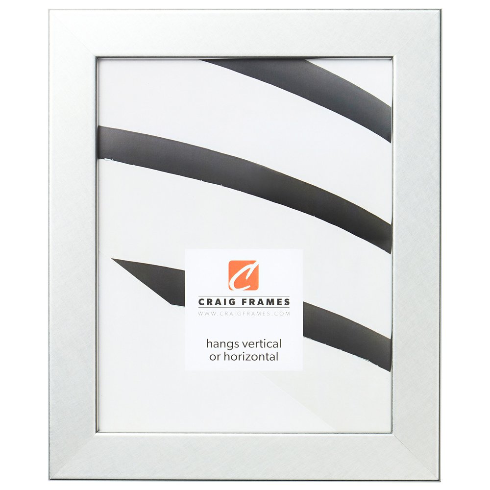 Craig Frames 26447 Bauhaus 125 Picture Frame, 11" x 14", Brushed Silver