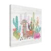 Trademark Fine Art Lovely Llamas I by Mary Urban, 18x18-Inch view 2