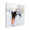 Trademark Fine Art 1X05118-C1818GG A Mothers Love Swans by Jacky Parker, 18x18, Multicolor view 2