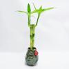 Athena's Garden Contemporary Bamboo Arrangement view 1