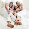 400 Thread Count 4-Piece Sheet Standard Bunk Bed Size (39" x 75") Chocolate Stripe Fit Up to 22" Deep Mattress 100% Egyptian Cotton view 4