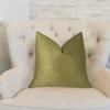 Plutus Brands Plutus Honey Praire Handmade Luxury Pillow, 24" x 24" view 2