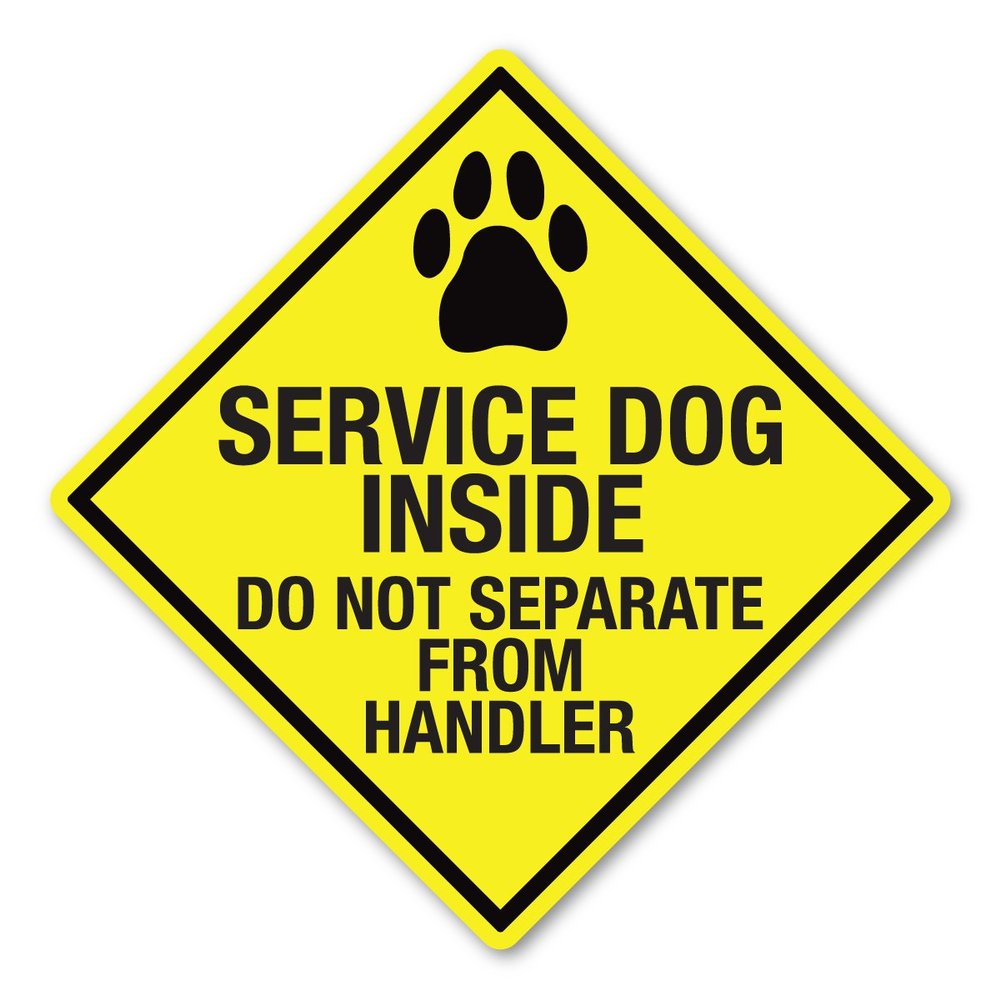 Magnet America Service Dog Inside Diamond Magnet is 5" x 5" Made for Vehicles and Refrigerators