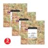 Beistle 48 Piece World Travel Theme Lunch Napkins Tableware Let The Adventure Begin Party Supplies Retirement Decorations view 3