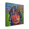 Trademark Fine Art ALI35872-C1818GG Mick Jagger Portrait by Howie Green Fine Art, 18" x 18", Multicolor view 2