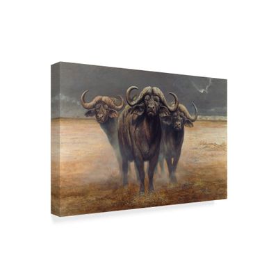Trademark Fine Art ALI35561-C1624GG Cape Buffalos by Harro Maass Fine Art, 16" x 24", Multicolor