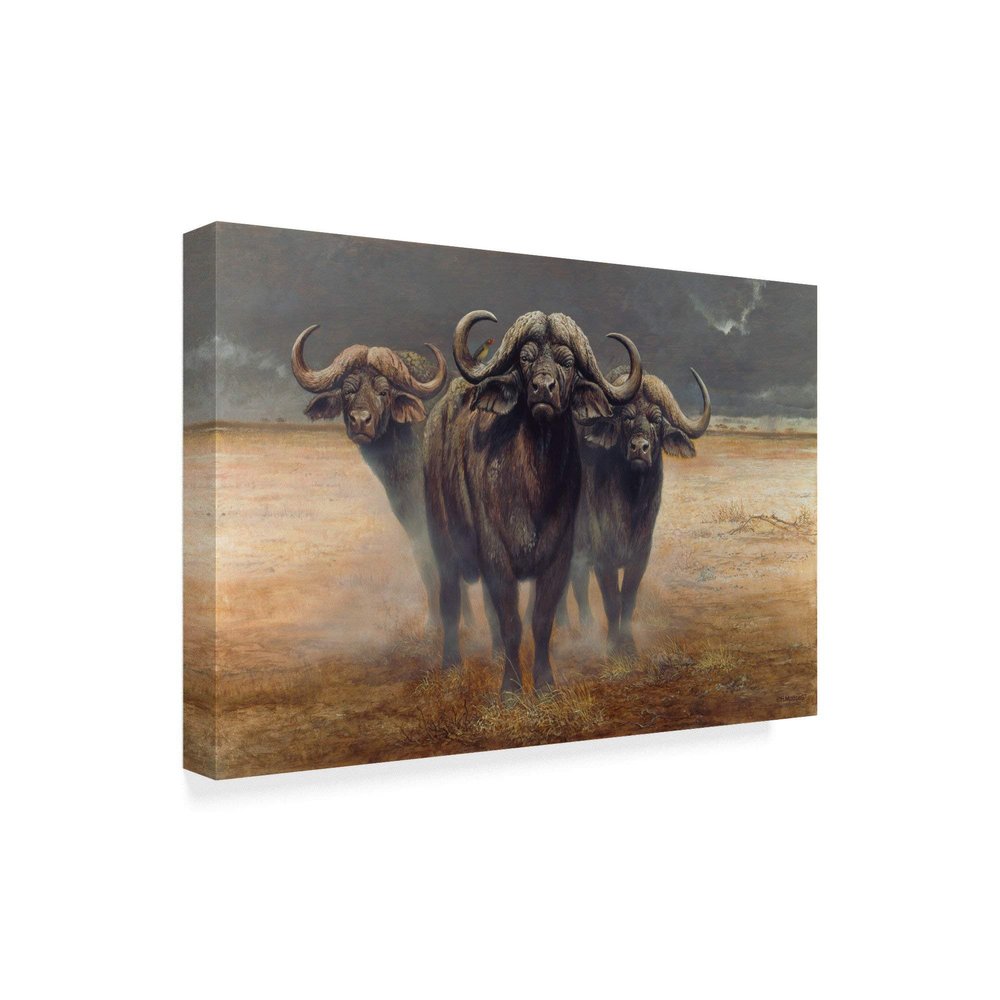 Trademark Fine Art ALI35561-C1624GG Cape Buffalos by Harro Maass Fine Art, 16" x 24", Multicolor