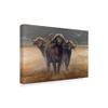 Trademark Fine Art ALI35561-C1624GG Cape Buffalos by Harro Maass Fine Art, 16" x 24", Multicolor view 1