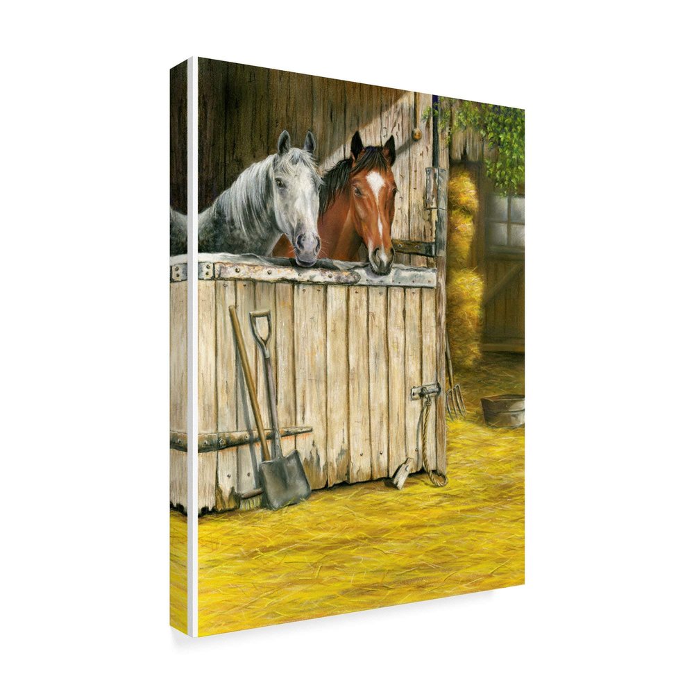 Trademark Fine Art ALI36627-C1824GG Fine Art, Multicolor