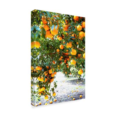 Trademark Fine Art ALI36063-C1624GG Orange Trees by Incredi Fine Art, 16" x 24", Multicolor
