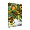 Trademark Fine Art ALI36063-C1624GG Orange Trees by Incredi Fine Art, 16" x 24", Multicolor view 2