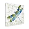 Trademark Fine Art ALI37345-C1818GG Dragonfly Bliss 8 by Jean Plout Fine Art, 18" x 18", Multicolor view 1