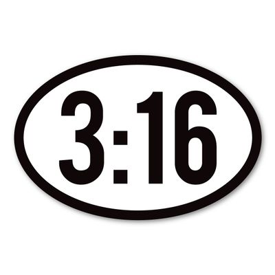 Magnet America John 3:16 Oval Magnet is 4" x 6" Made for Vehicles and Refrigerators