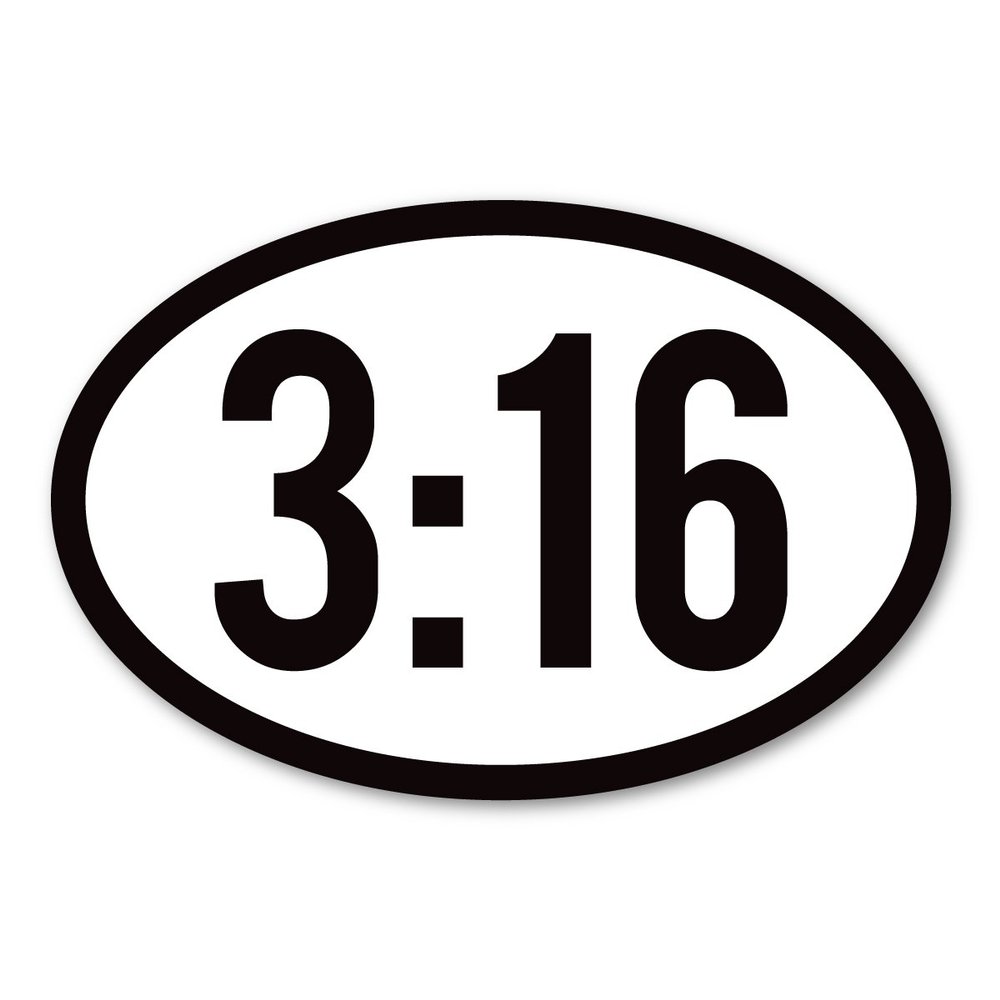 Magnet America John 3:16 Oval Magnet is 4" x 6" Made for Vehicles and Refrigerators