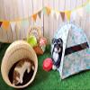 Maruwa Boeki 400856702 Mummy Field Pop-up Pet Tent, Dot view 2
