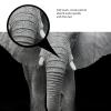Amagical Elephant Art Black and White Photography 2 Piece Bath Mat Set Non Slip Bathroom Mat Contour Rug Mat view 4