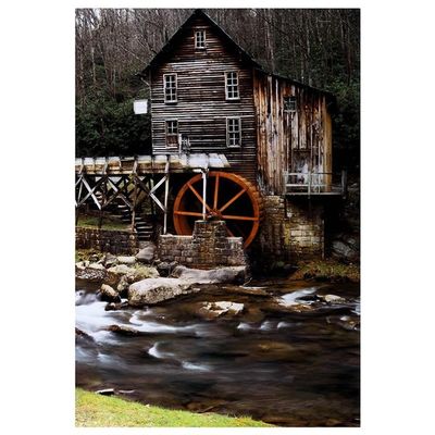 Yosemite Home Decor 'River Mill' Glass Photographic Print in Multi-Color