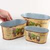 Factory Direct Craft Floral Print Design Rustic Tin Oval Planter Set | Set of 3 view 3