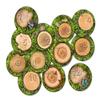 Flagship Carpets Counting Seating Stumps Stow -N- Go Educational Rug for Home Learning Area or Children Classroom Carpet, Kids Room or Playroom Mat, 1-12, Multi view 1